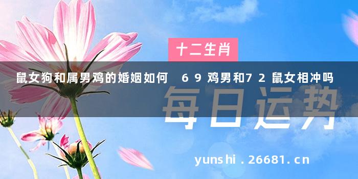 鼠女狗和属男鸡的婚姻如何 69鸡男和72鼠女相冲吗